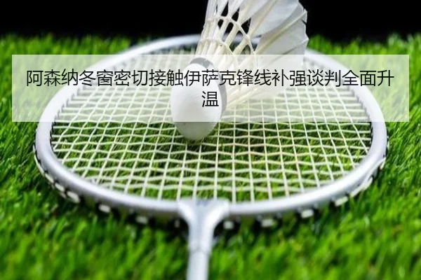 阿森纳冬窗密切接触伊萨克锋线补强谈判全面升温